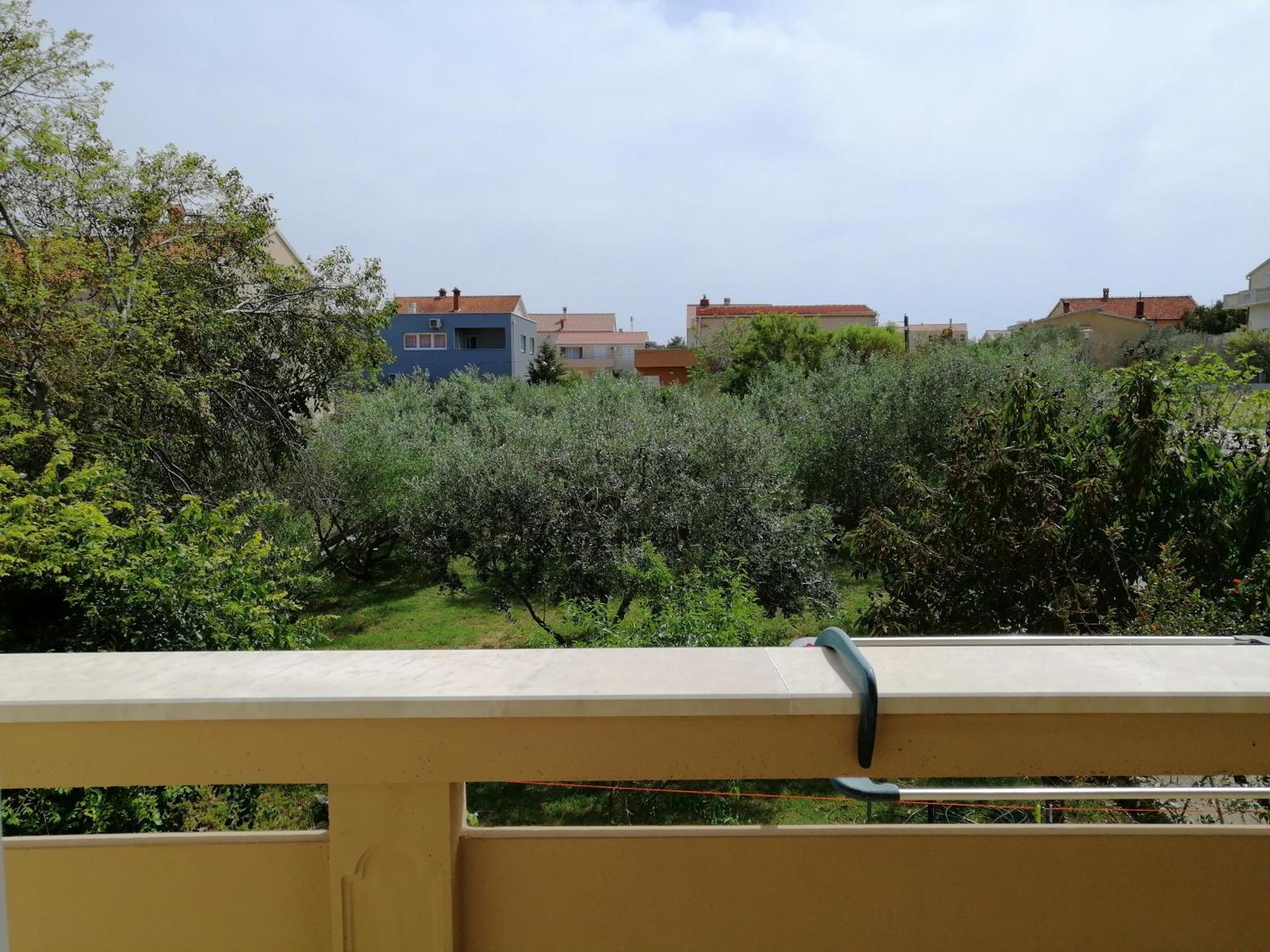 Apartments Monika Nin Cameră foto